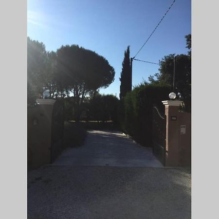 Gite 2 Pieces Au Calme Les Arcs-sur-Argens Eksteriør bilde